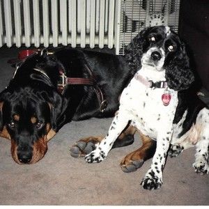 Meet your Posher, Janet